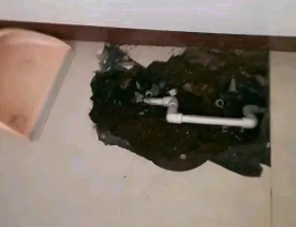 顺平县卫生间测漏水多少钱